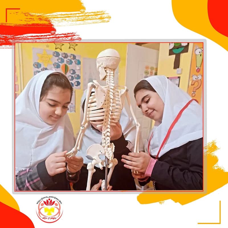 مدرسه نیلوفران خلاق